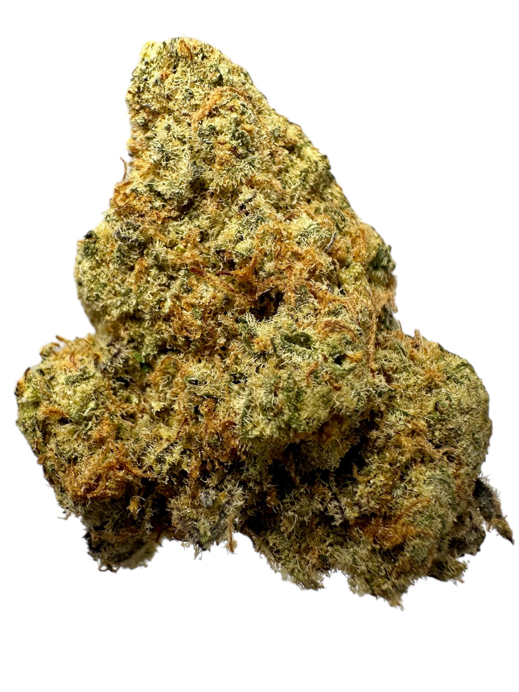 Bruce Banner -  7g