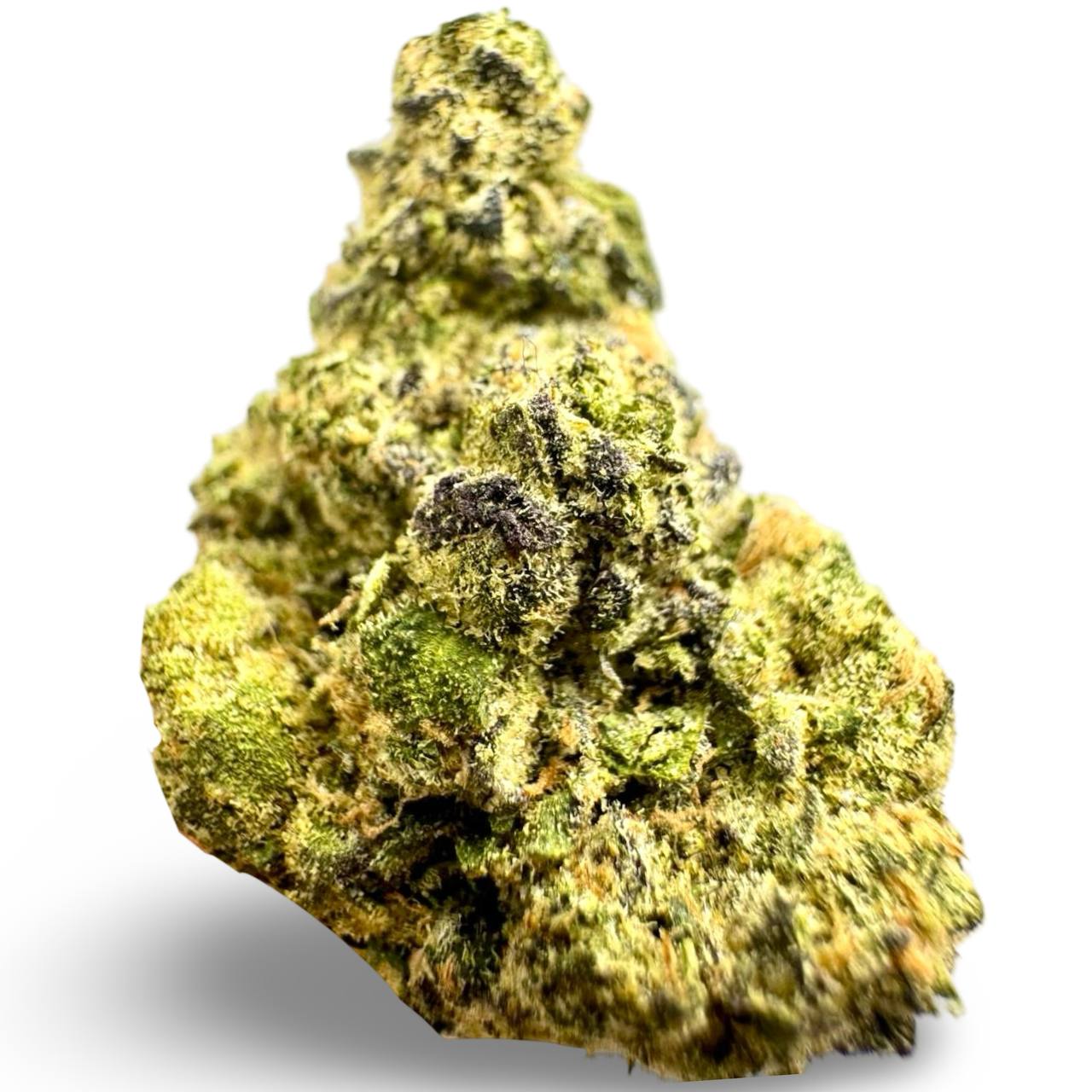 BernScotti - 7g