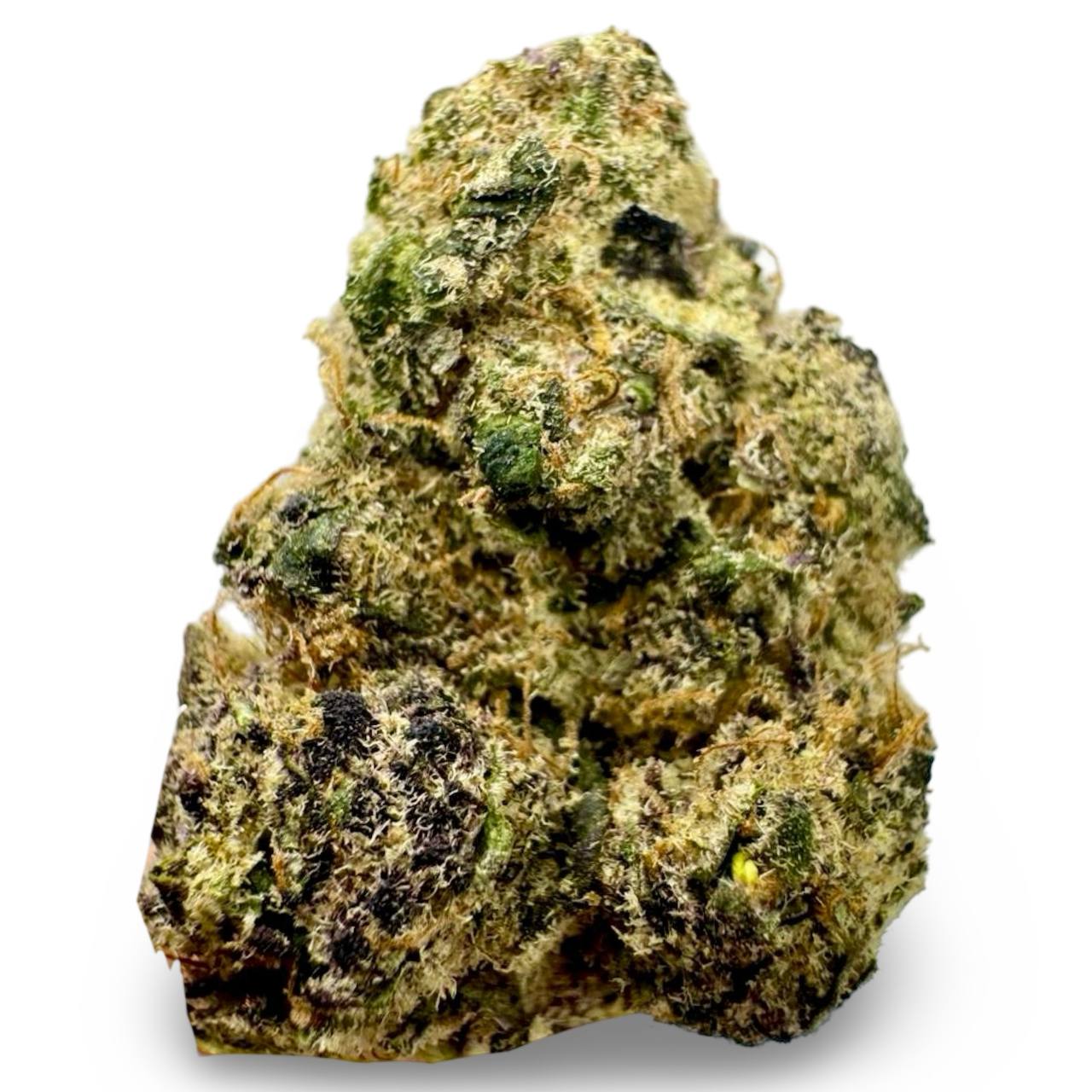 Berry Bonds - 7g