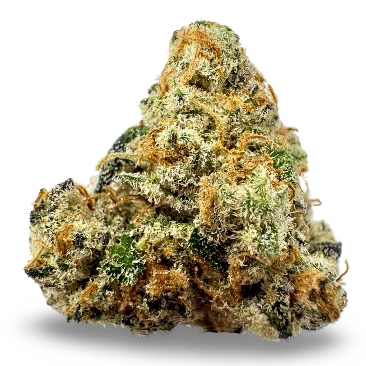 Purple Dino - 7g
