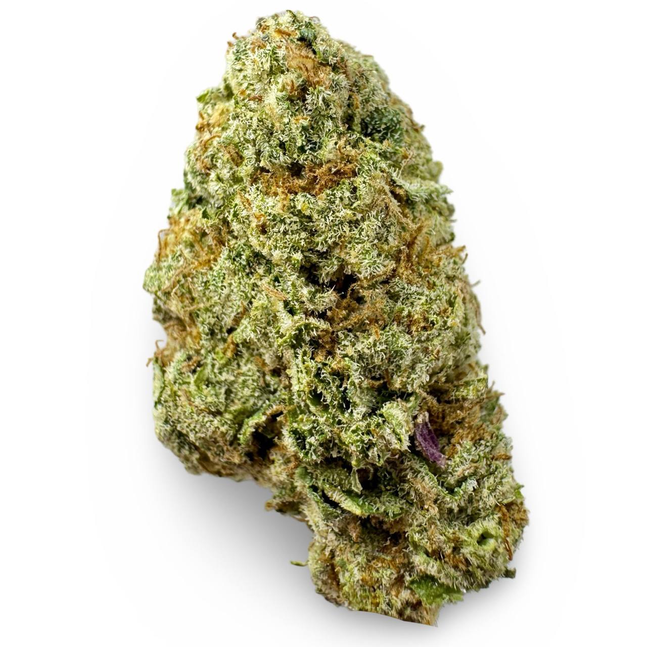 Jack Ramsey - 7g