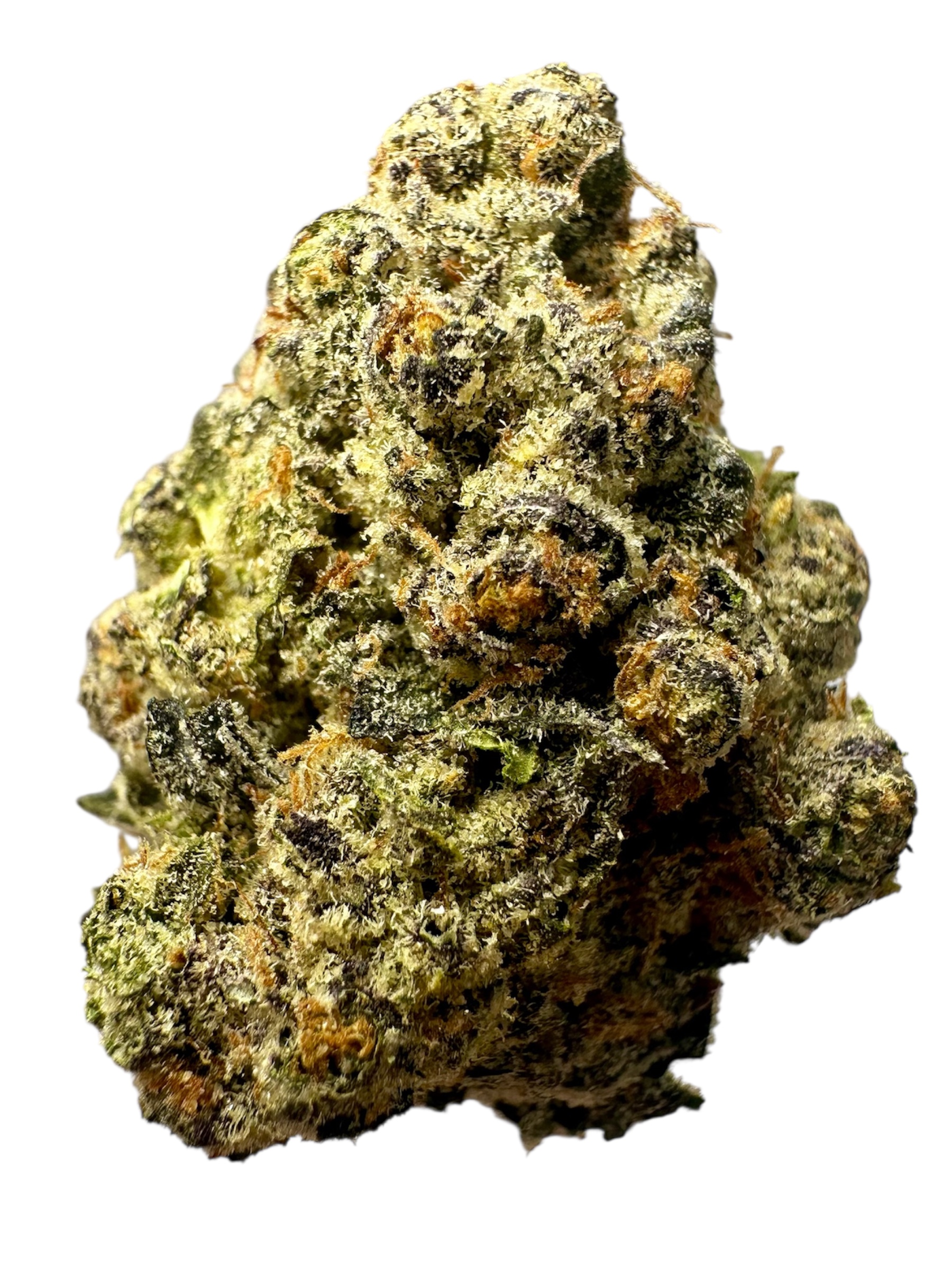 Miss Big Buns - Gold - 7g