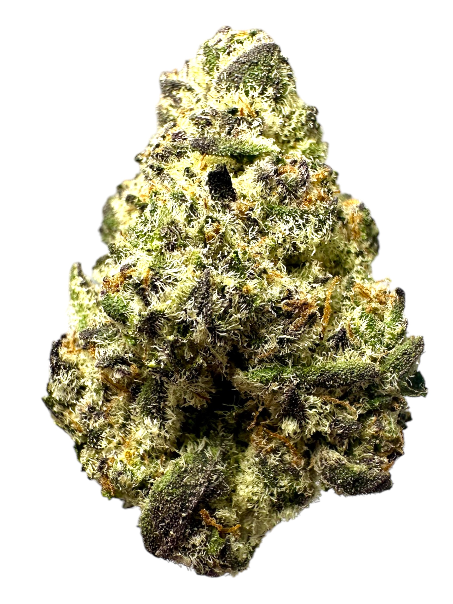 Zero Gravity - 7g