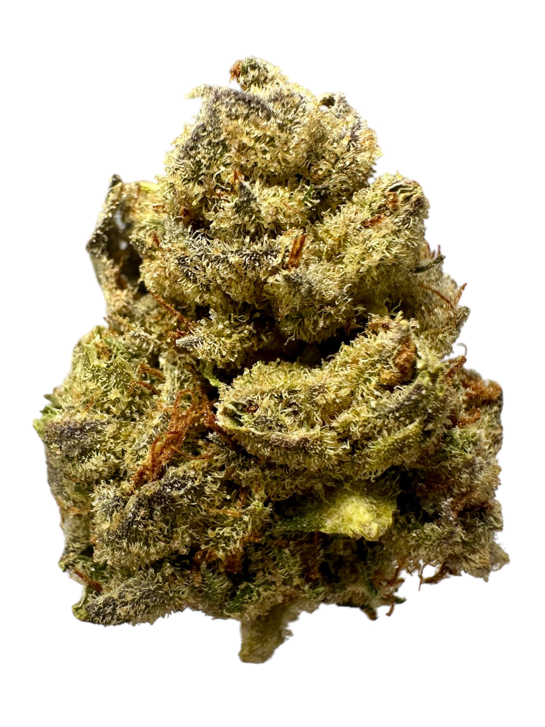 Gastro Pop - 7g