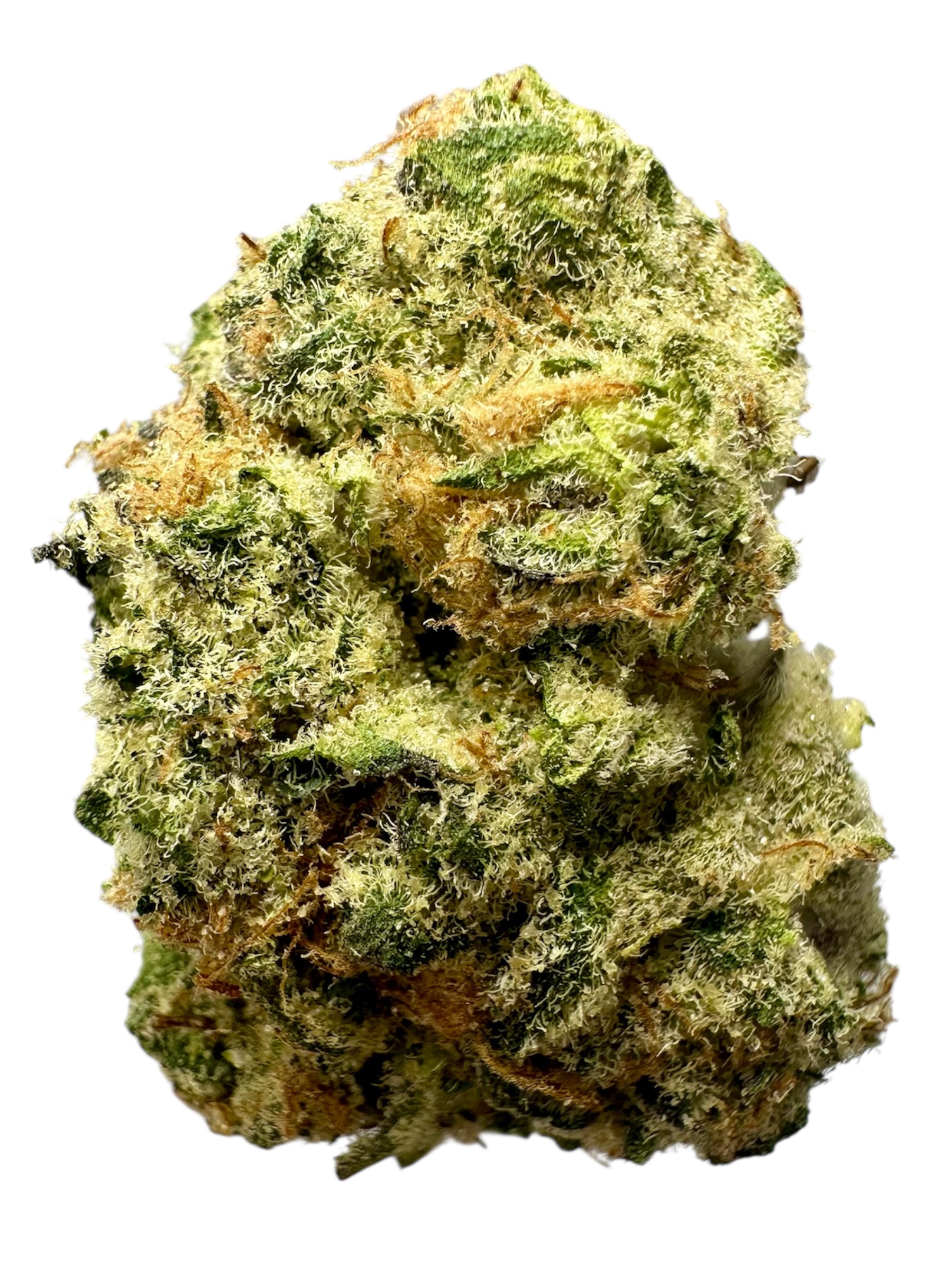 Sherbacio - 7g
